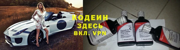 эйфоретик Алзамай