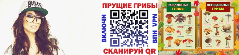 Галлюциногенные грибы мицелий  закладки  Ревда 